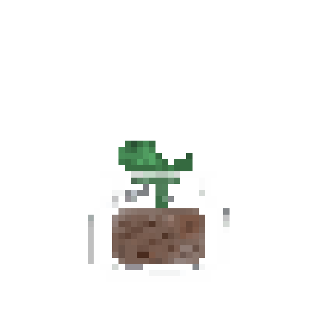 plant 2