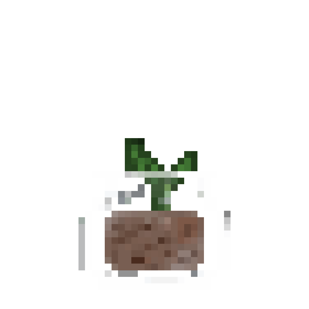 plant 3