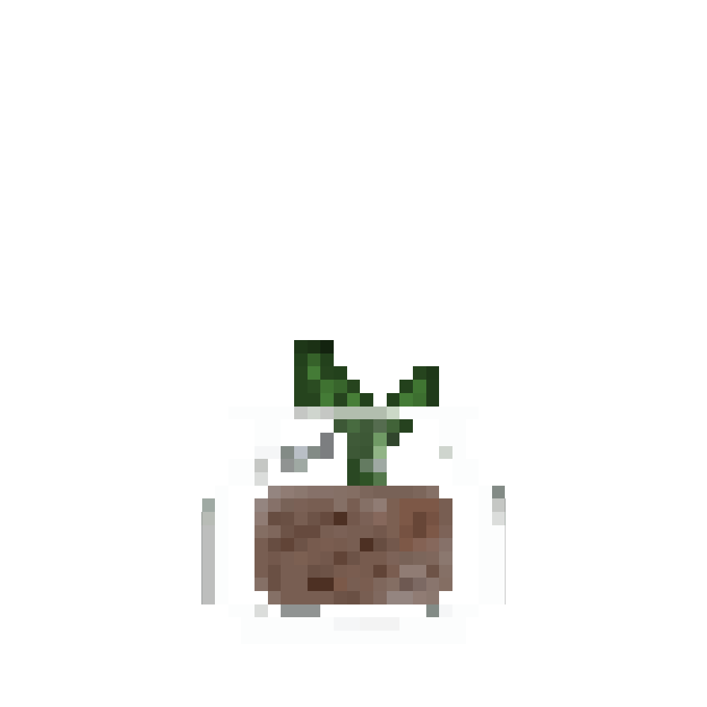 plant 1